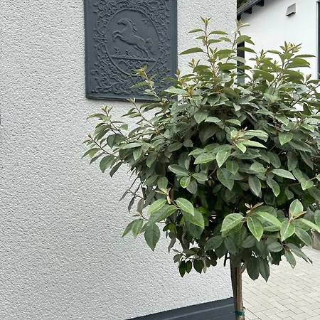 Premium Im Herzen Der Kurstadt شقة باد نوينهار اهرفيل