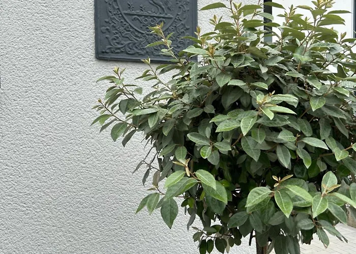 Premium Im Herzen Der Kurstadt Apartamento Bad Neuenahr-Ahrweiler